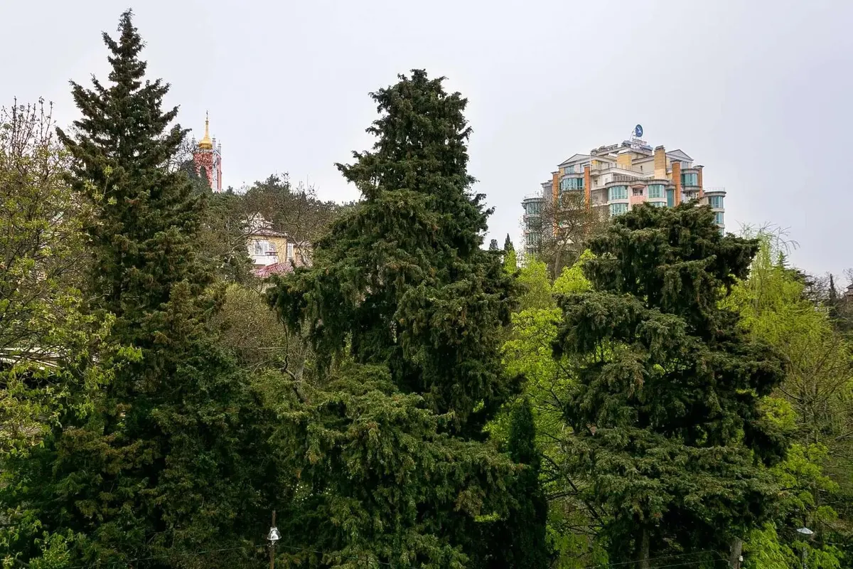 Однокомнатная квартира в Ялте, 74 м² — фото 8