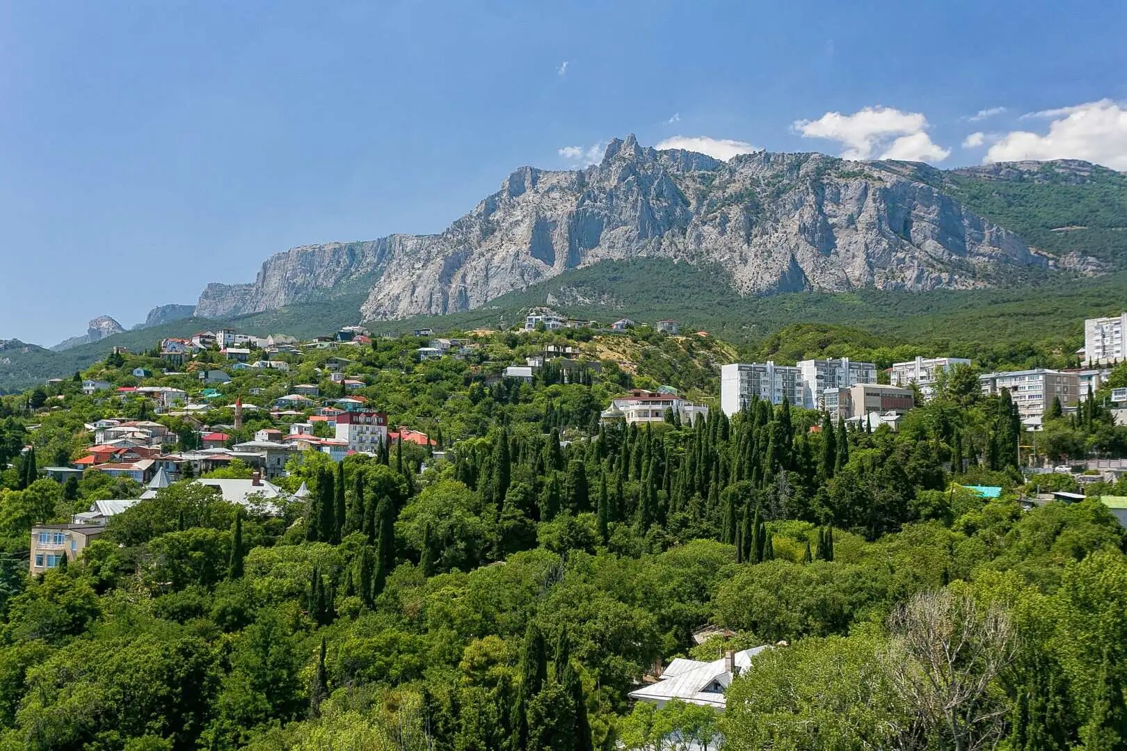 Квартира в Гаспра, Ялта — фото 2