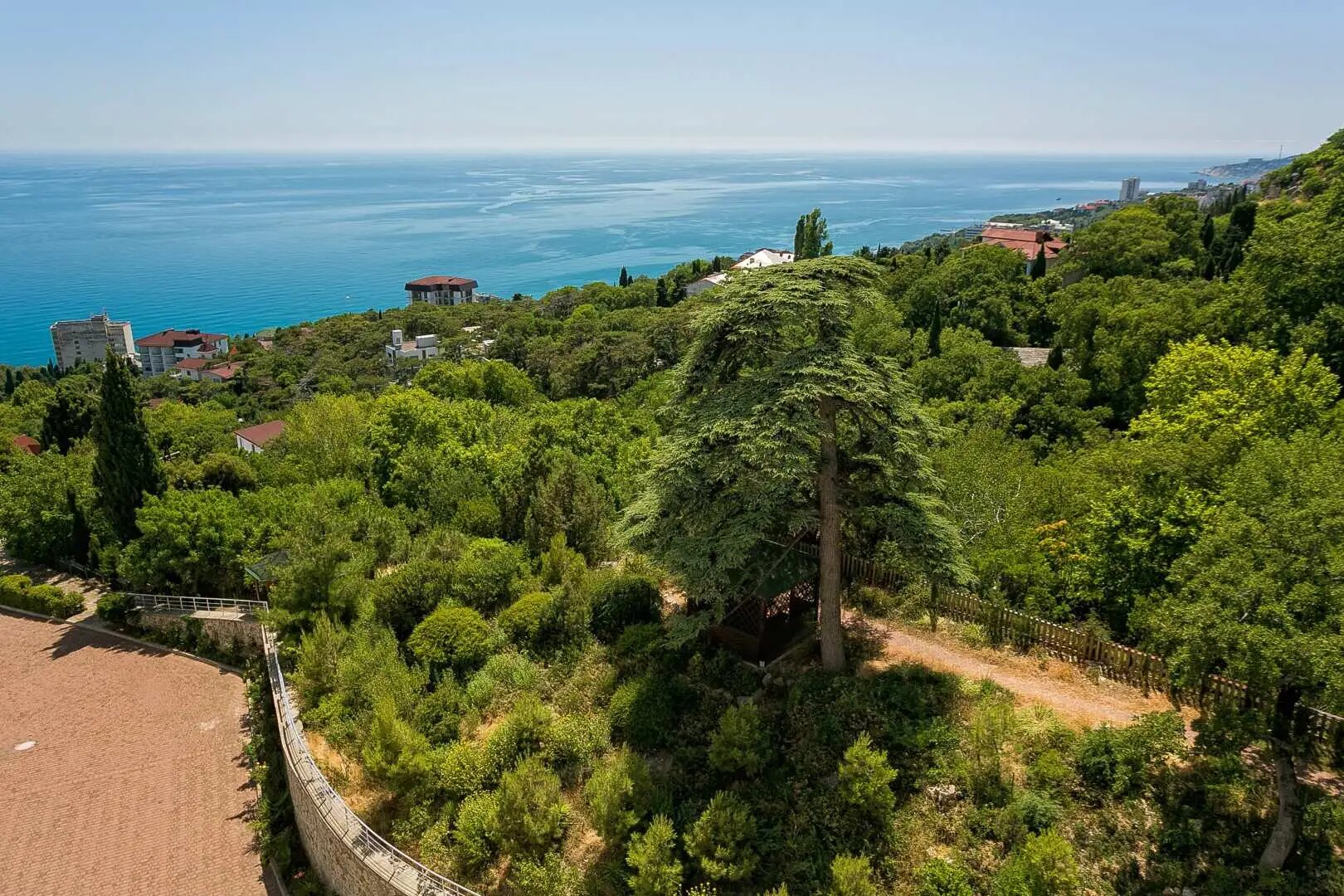 Квартира в Гаспра, Ялта — фото 5